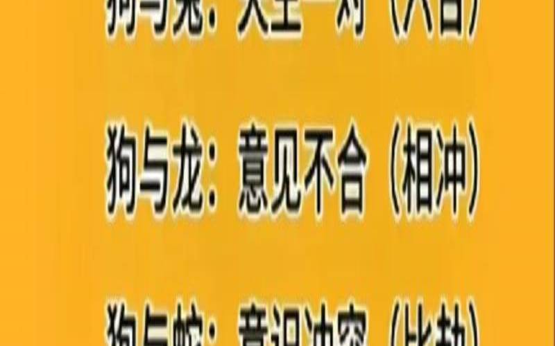 生肖合八字不合什么意思（八字不合指什么动物）