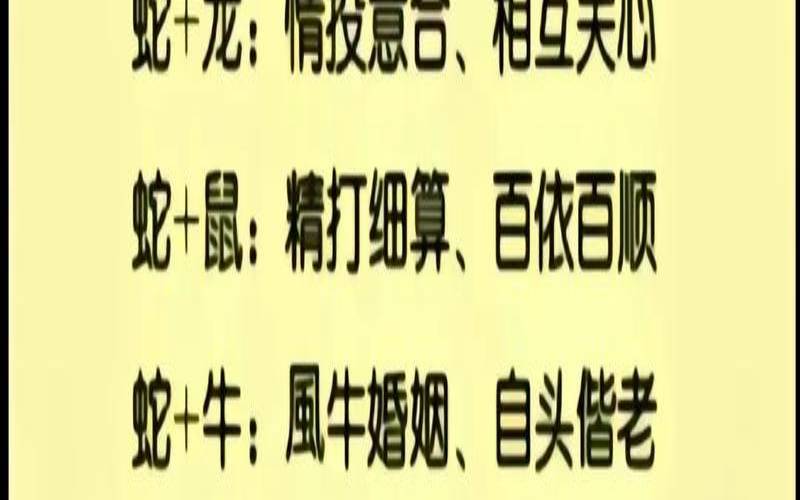 什么叫相依为命（测试两人姻缘）