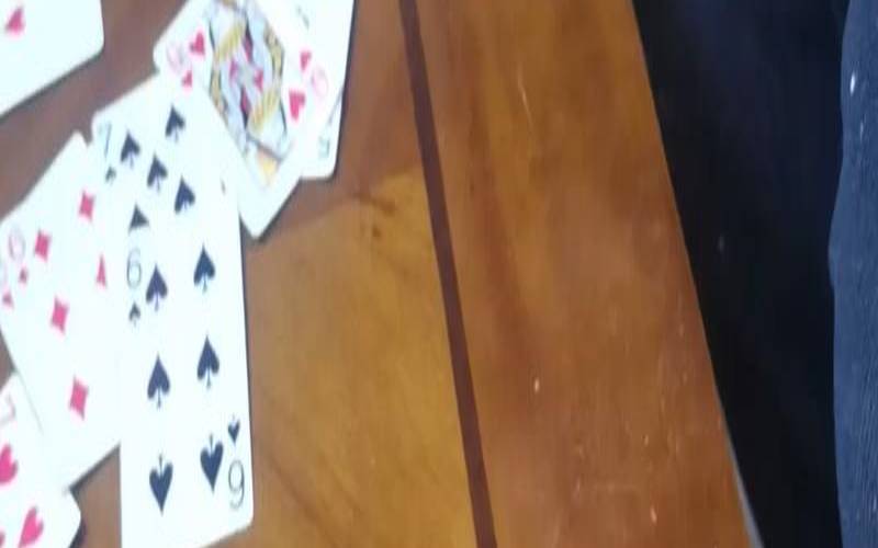 呼幺喝六是什么意思（呼幺喝六的意思的生肖）