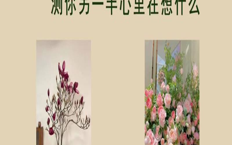 恋爱运势预测免费（恋爱测试题及答案打分）