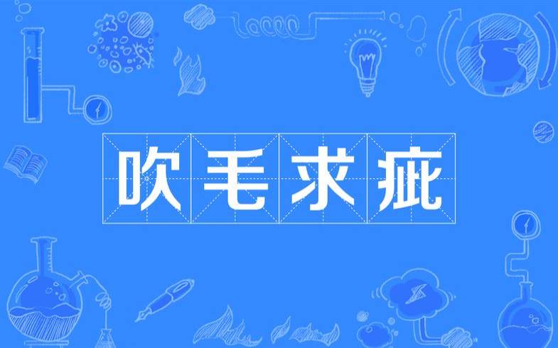 吹毛求疵是什么生肖（吹毛求疵是什么生肖）