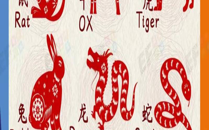 十二生肖38号是什么生肖（12生肖对应的花）