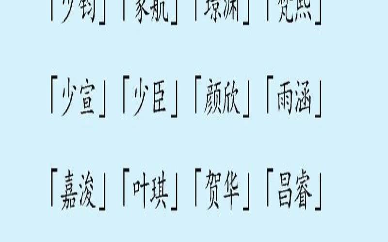 硕字取名男孩有寓意（硕字有什么含义）