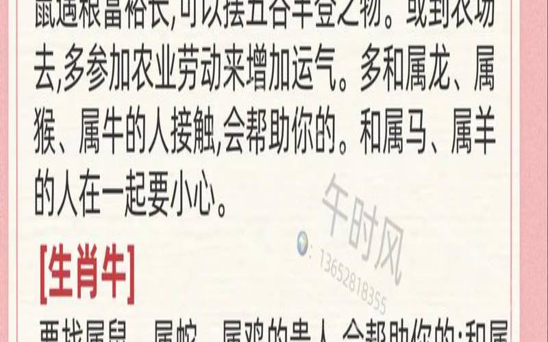 周代表什么生肖（周字代表什么生肖）