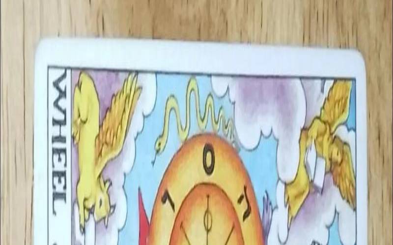 塔罗占卜我还能见到他吗（测试二人缘分有没有尽）