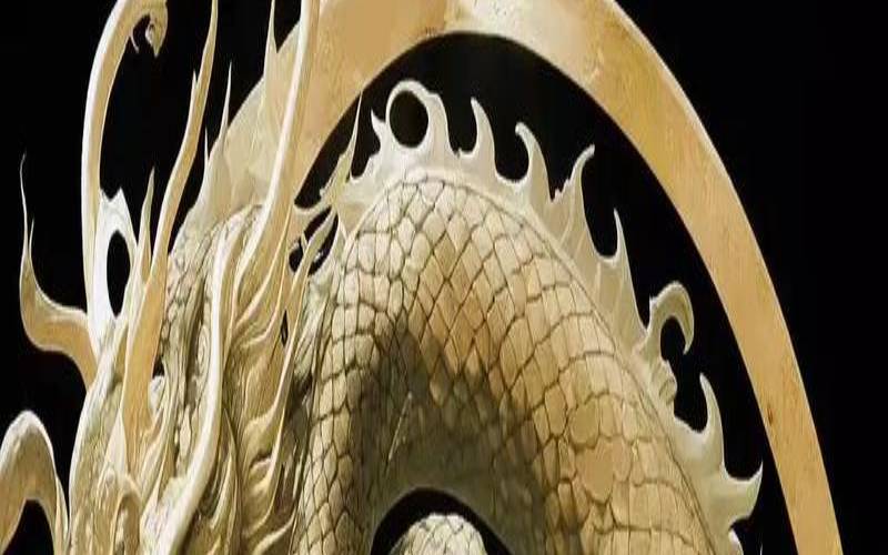 76年龙2020年每月运势（76年属龙的明年运气怎么样）