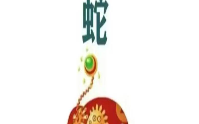 属蛇双子座今日运势查询（属蛇的做什么行业最赚钱）