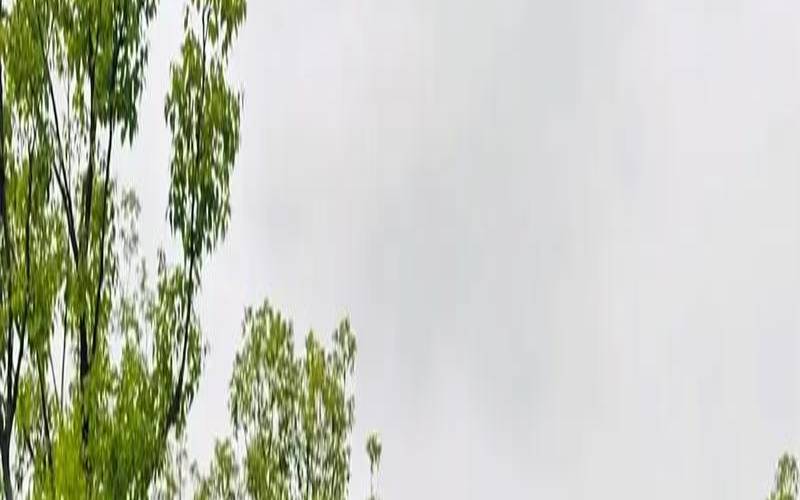 2021年1月哪天适合新车上牌（新车提车吉日吉时查询）