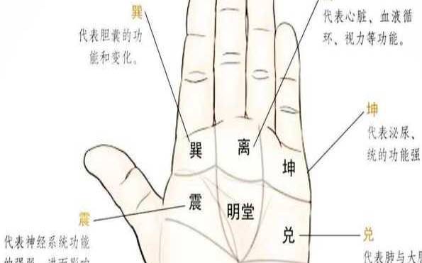 男人不喜欢女人什么性格（男人手相看婚姻）