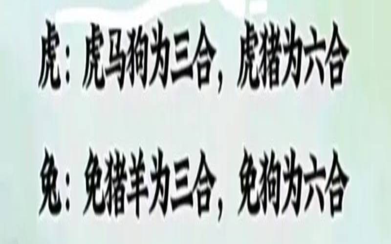 三合生肖一览表（兔冲鸡三合是什么生肖）