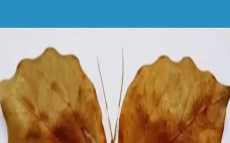 心理暗示小测试（心理测试一般测试什么）