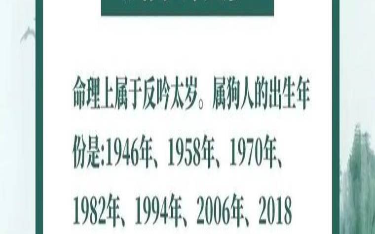 1982年属狗的运势（属狗人做什么生意最旺）