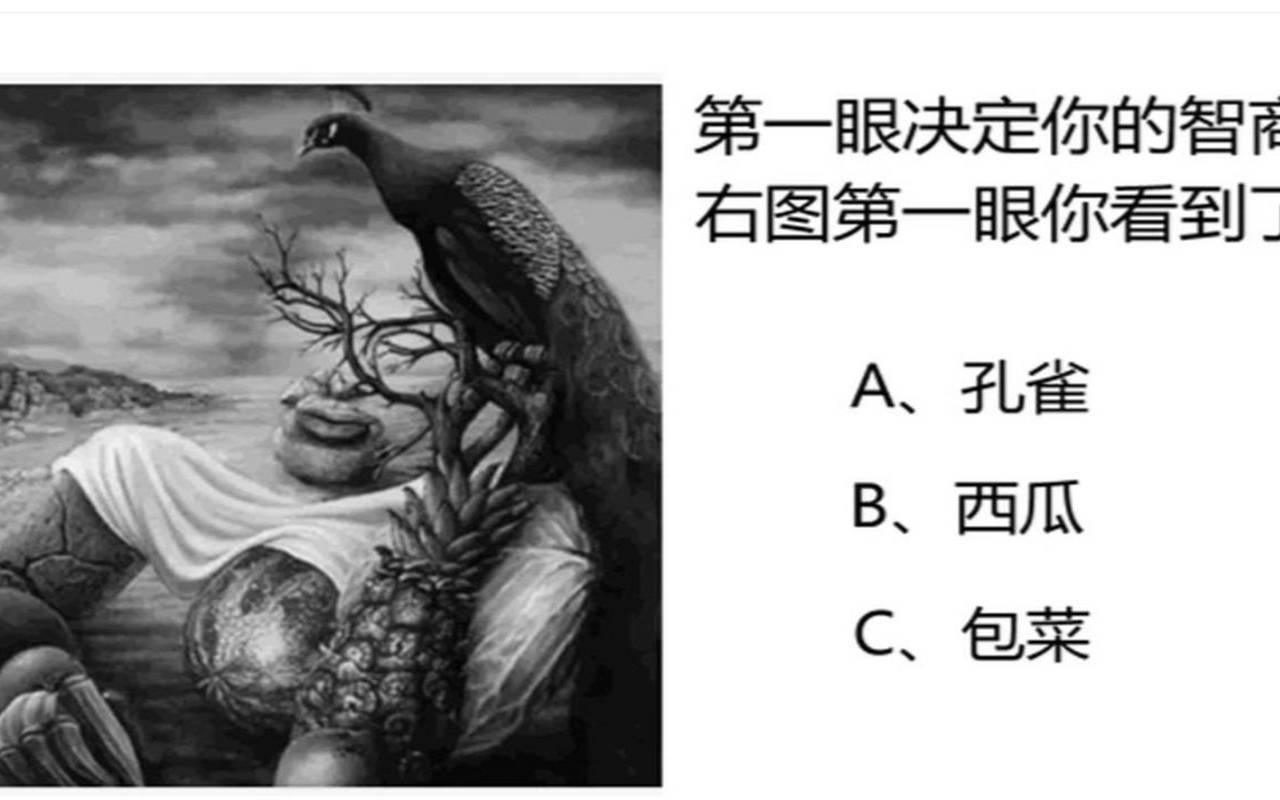 四辆车哪辆车先走脑力测试（智商测试2.0答案）