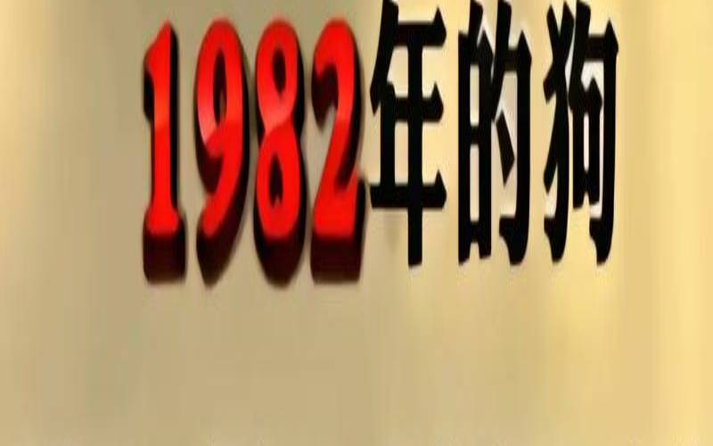84年今年婚姻怎么样（82年狗42岁是不是有一劫）