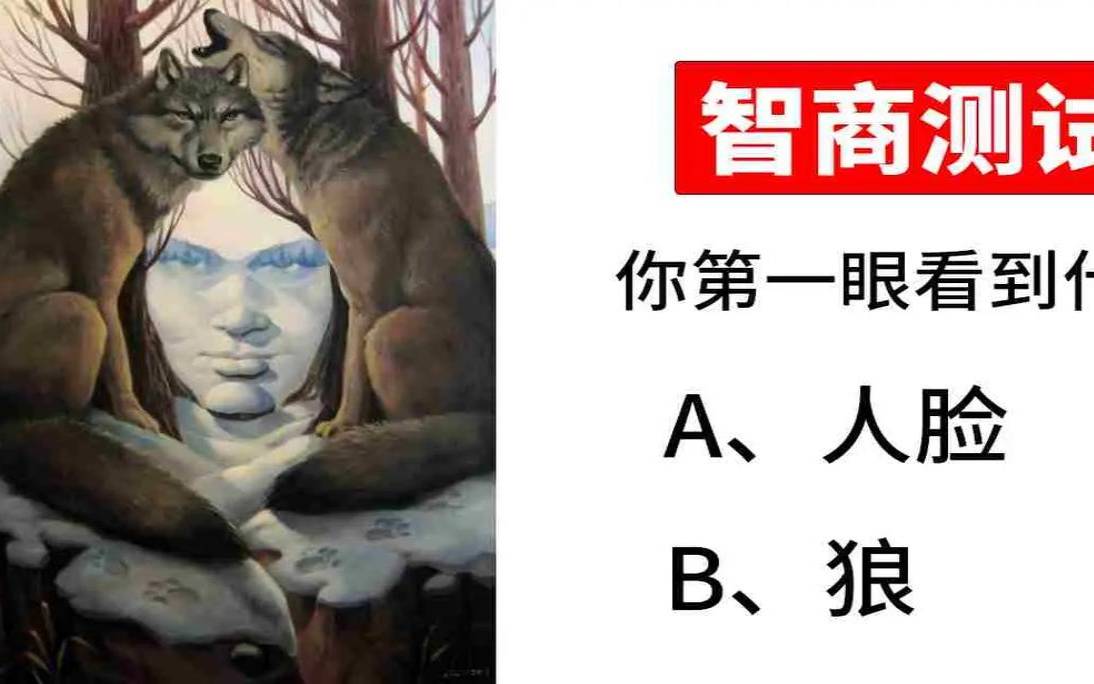 国外智商测试题（智商测试题国际标准60题）