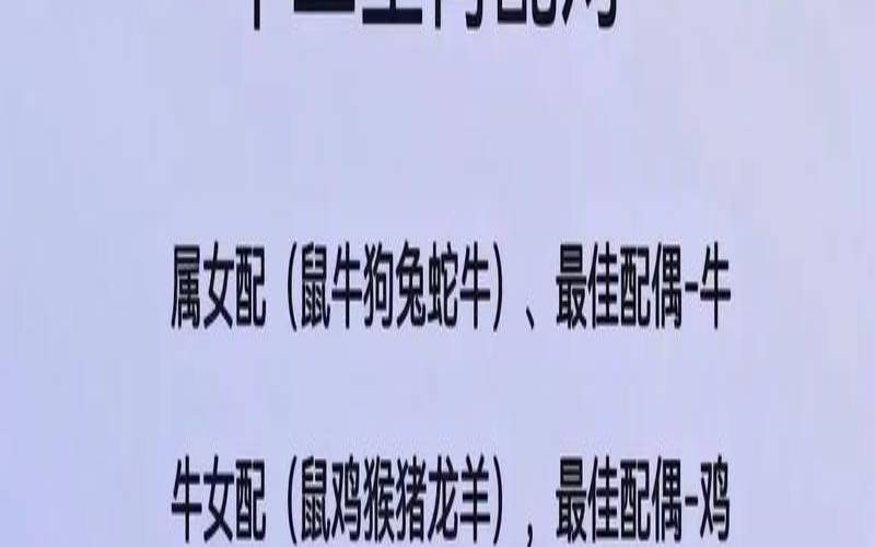 生肖配对指数查询（生肖查询大全下载）