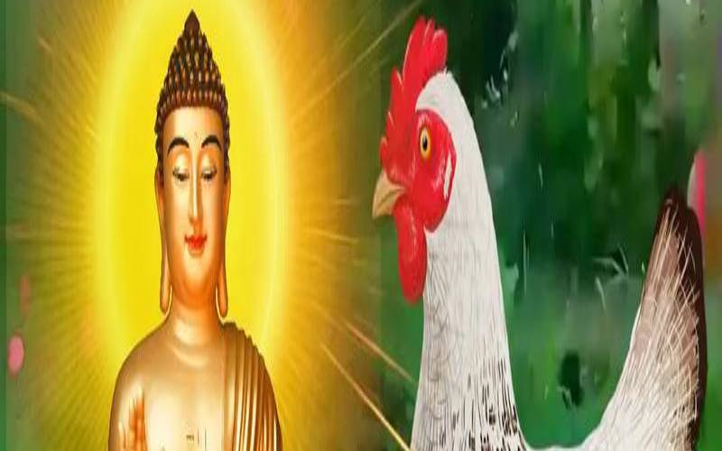 93年属鸡的手机号码什么吉（手机尾号是几的最吉利）