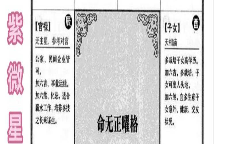 免费姓名测试紫薇（紫微免费算一生运势图）