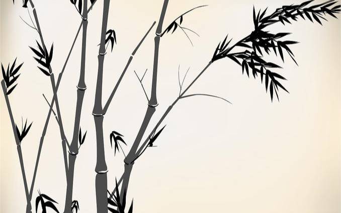 水墨先生数字吉凶（号码吉凶查询水墨先生）