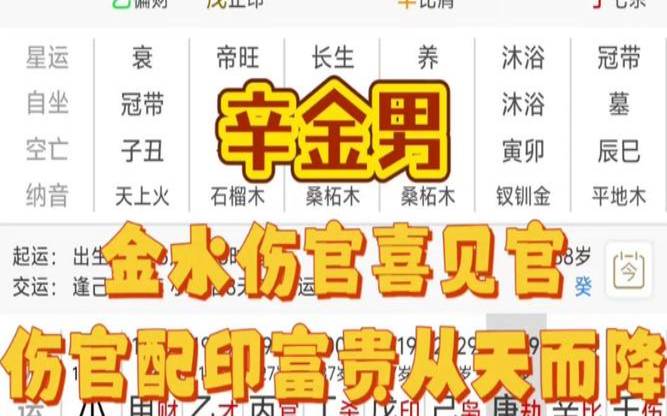 金水伤官名人八字（金水伤官配印）