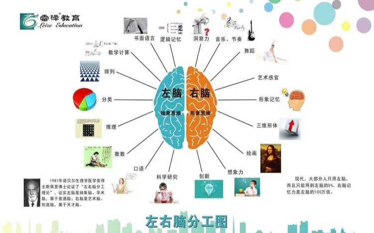 测试大脑开发程度（开发脑力的方法）