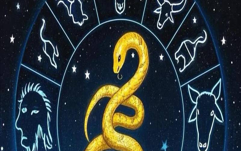 属蛇双子座今日运势查询（属蛇今日运势十二星座网）