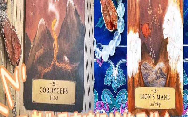 塔罗占卜老灵魂是什么意思（测试你以后是个什么人）