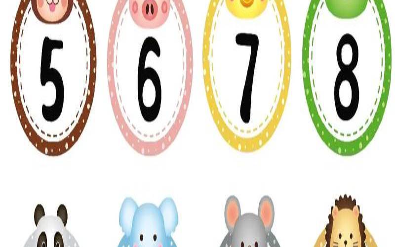 数字零代表什么动物（零是什么动物）