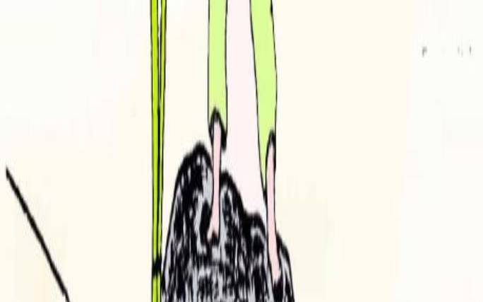 168年是什么生肖年（秤代表什么生肖）