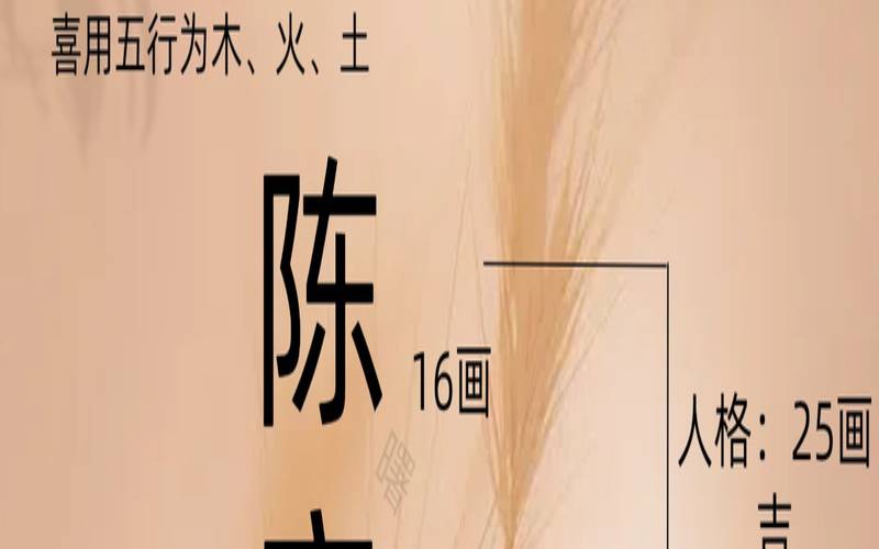 朵字五行属于什么（朵朵五行属性是什么）