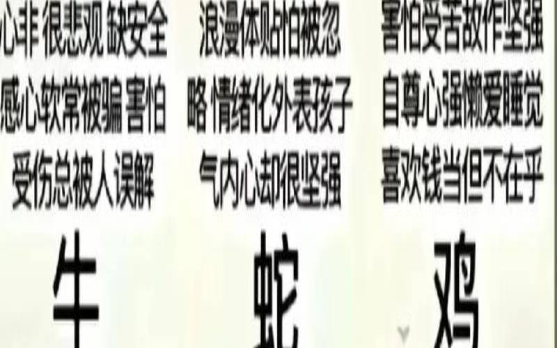 12生肖各代表什么性格特点（12生肖的性格）