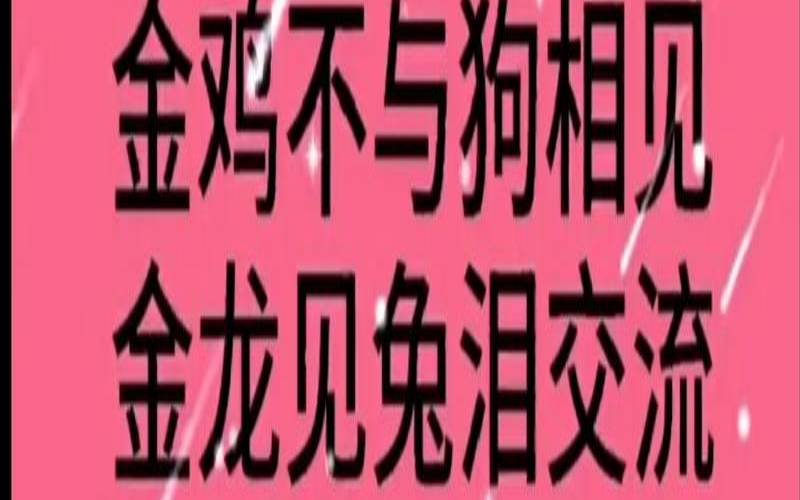 女狗男蛇在一起好不好（男蛇与狗女可以结婚吗）