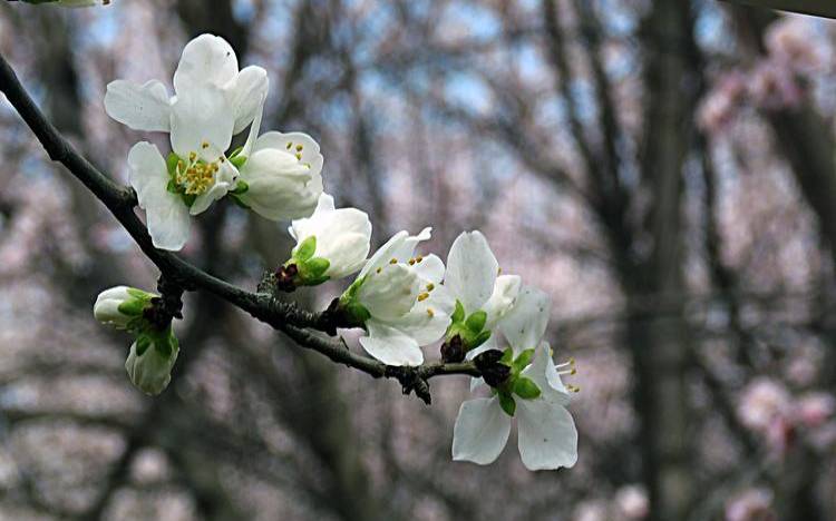 阳历0108是什么星座（0104是什么星座）