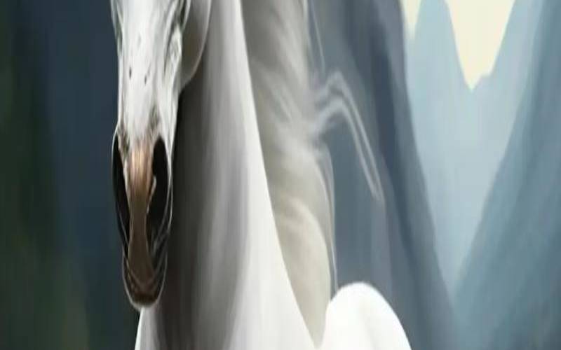 1978年属马女人2022年运势（78年的马今年可以创业吗）