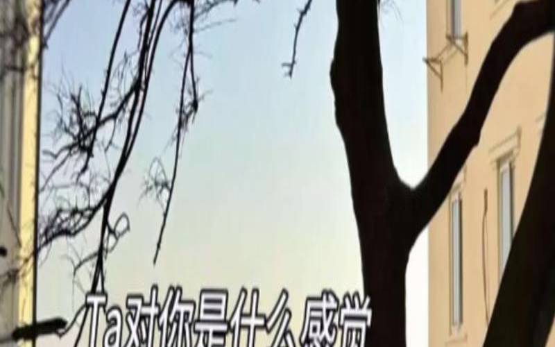 测你的恋爱手段有多高（测试他对你的感觉）