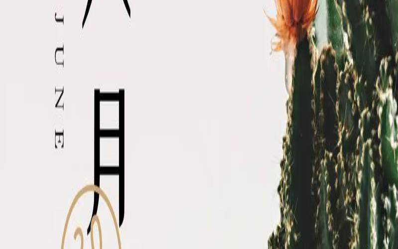 2021农历四月十四出生（闰四月出生的孩子命运）