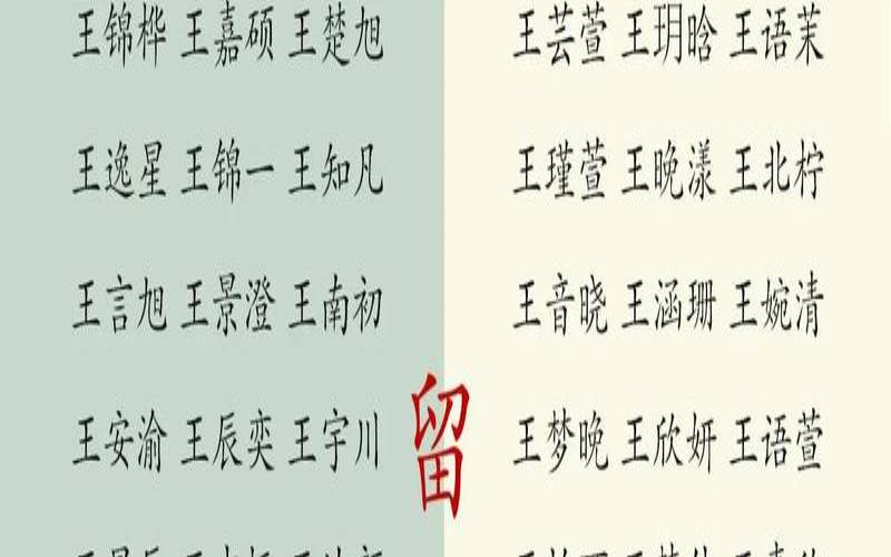 独特稀少男孩名字大全免费（王姓男孩独一无二取名）