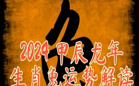 1975属兔的车牌号字母（属兔选车牌号字母什么最佳）