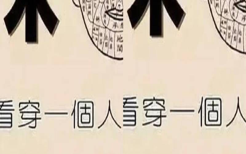 头发命理（头发不同位置的名字）