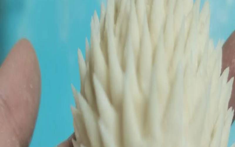 刺猬能代表什么生肖（刺猬头指什么生肖）