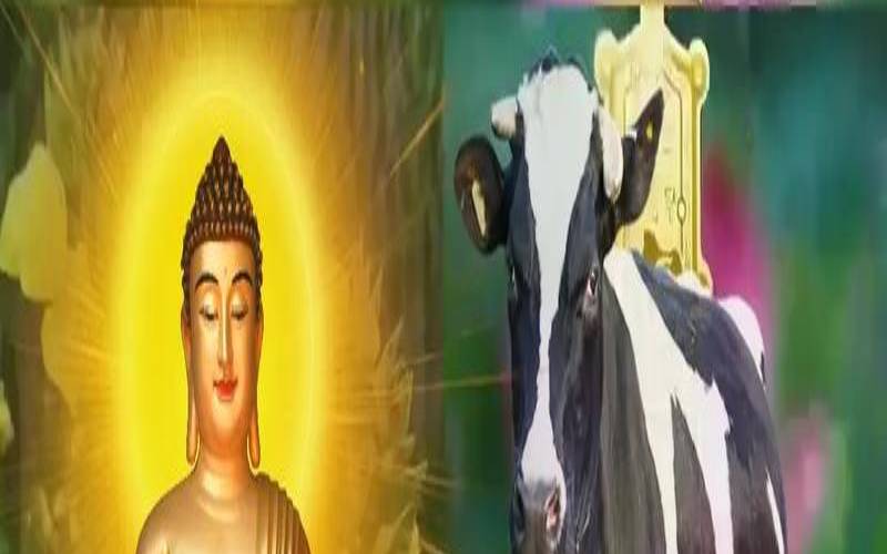 1985年属牛2021年全年运势（1985属牛做什么生意好）