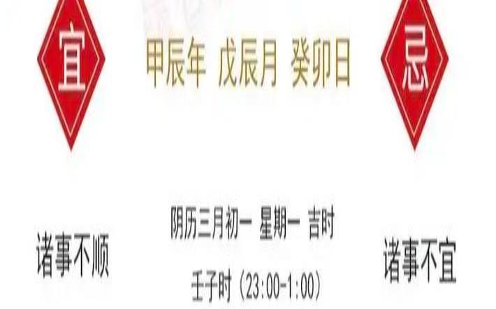 鸡运势2019年运势每月（属鸡人2024年做什么生意好）