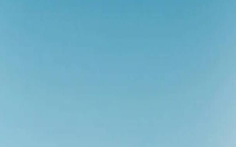 鼠人虎年运势及运程（鼠虎迎双喜打一生肖）