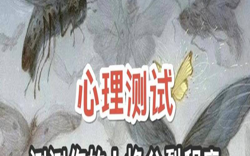 国际人格分裂测试（9种人格测试结果分析）