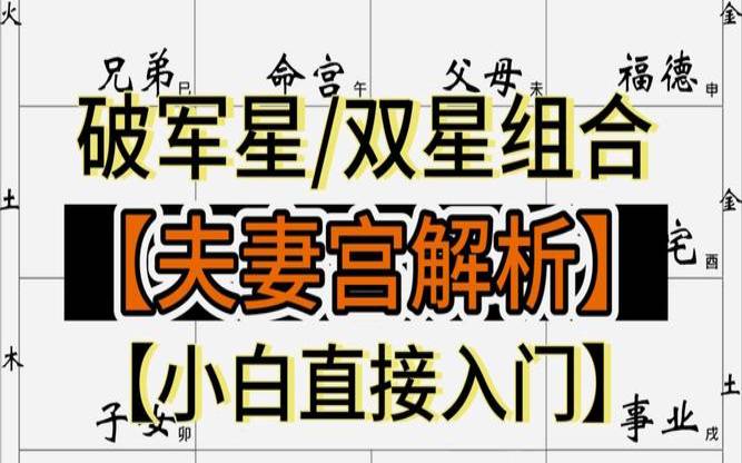流年夫妻宫破军（破军在夫妻宫看另一半）