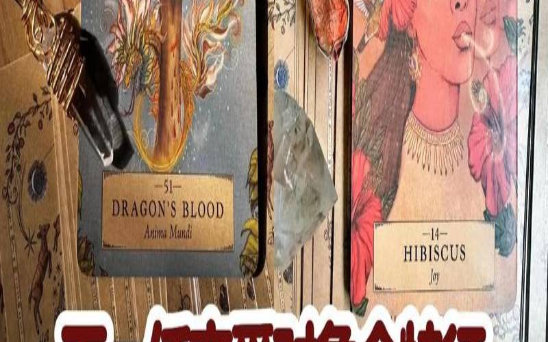 塔罗占卜我的下一段恋情（测试你以后是个什么人）