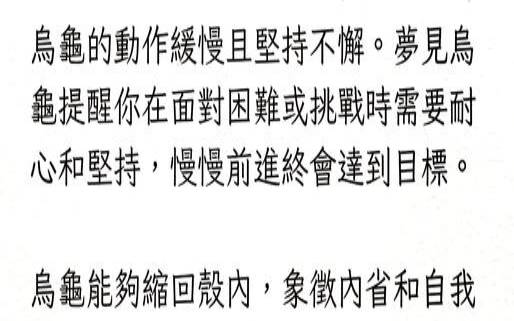 梦见乌龟梦见乌龟好不好（周公解梦梦见乌龟）