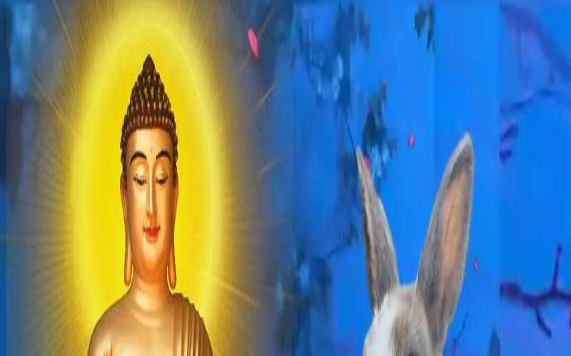 1987年属兔吉利车牌号（1987属兔的吉祥车牌号）