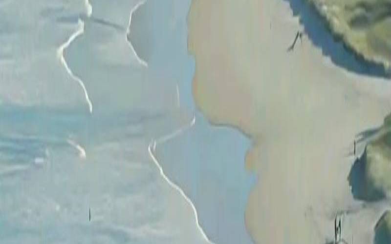 甲木日主的婚配倾向（甲木的强根哪个最好）