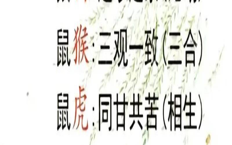 如何通过八字看配偶属相（1992属猴姻缘）